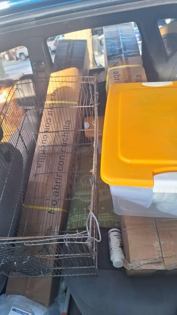 Maletero cargado con el material veterinario adquirido con el fondo