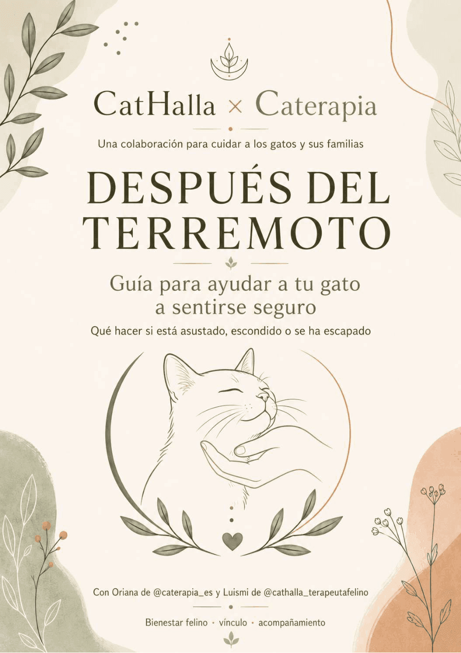 Portada de la guía Después del terremoto